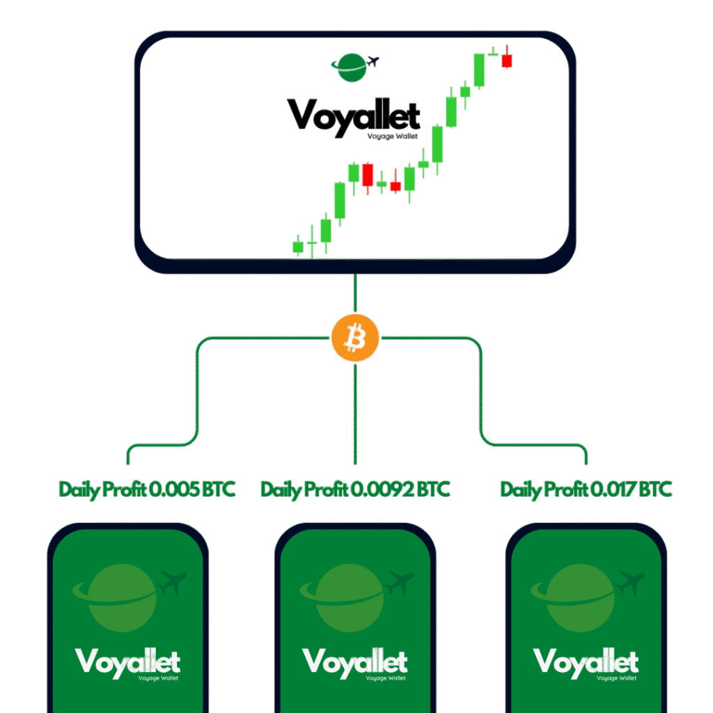 voyallet crypto investment